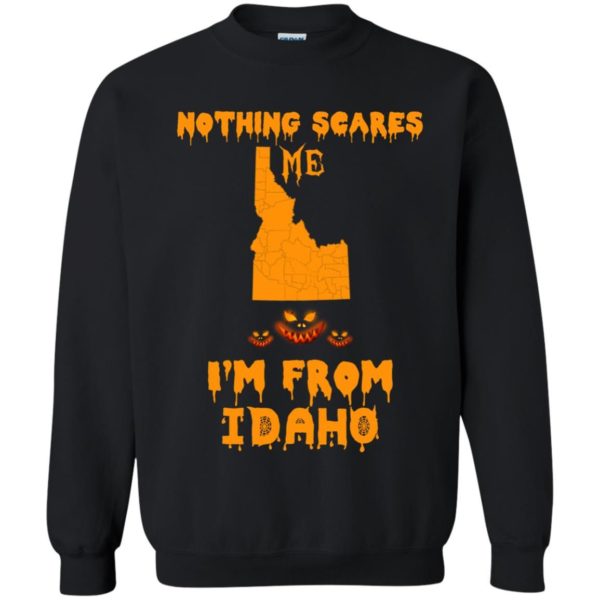 image 289 600x600 - Halloween: Nothing Scares Me I'm From Idaho shirt, hoodie, tank
