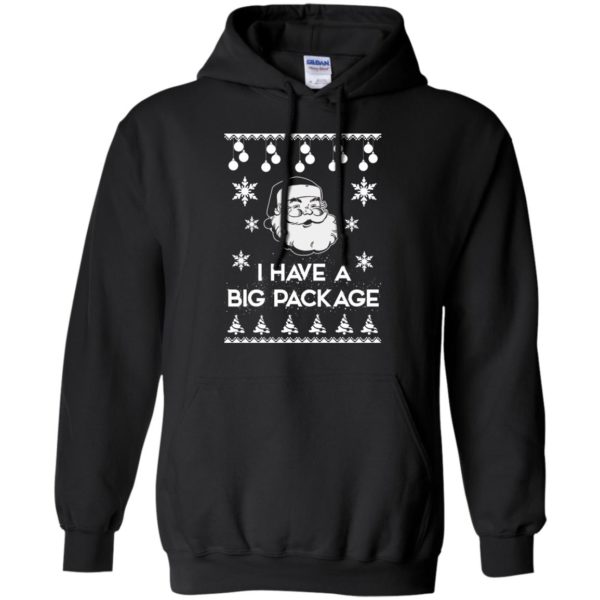 image 1711 600x600 - I Have a Big Package Christmas Sweater, Ugly Sweatshirt