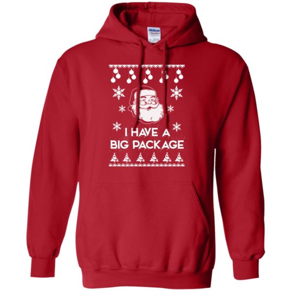 image 1713 600x600 - I Have a Big Package Christmas Sweater, Ugly Sweatshirt
