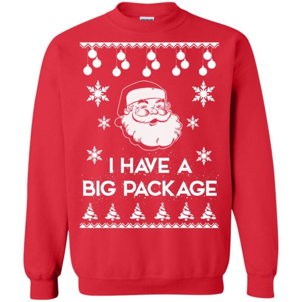 image 1716 600x600 - I Have a Big Package Christmas Sweater, Ugly Sweatshirt