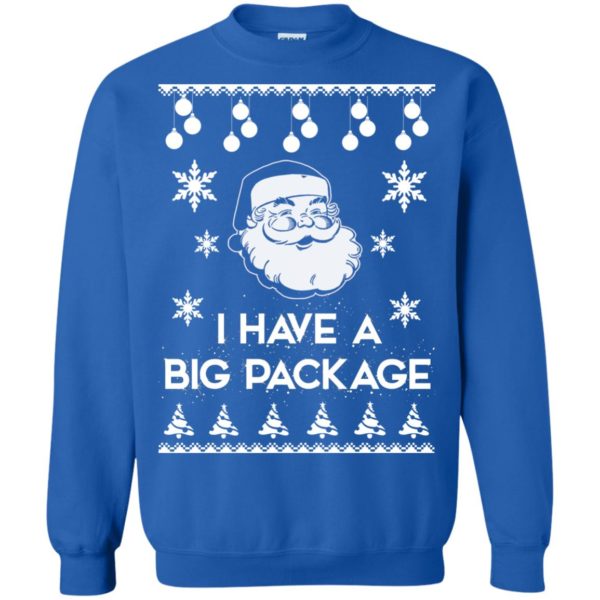 image 1718 600x600 - I Have a Big Package Christmas Sweater, Ugly Sweatshirt