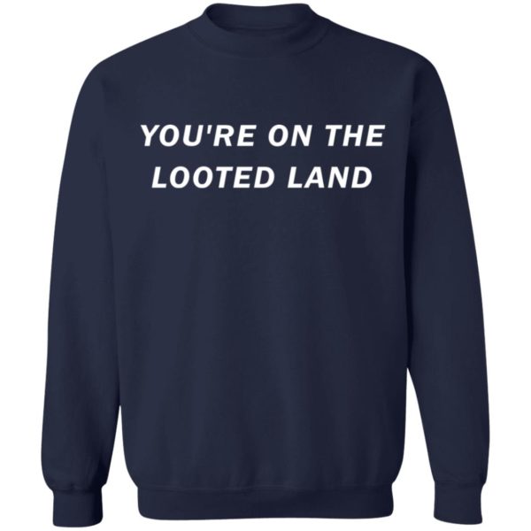redirect 3214 600x600 - You’re on the looted land shirt