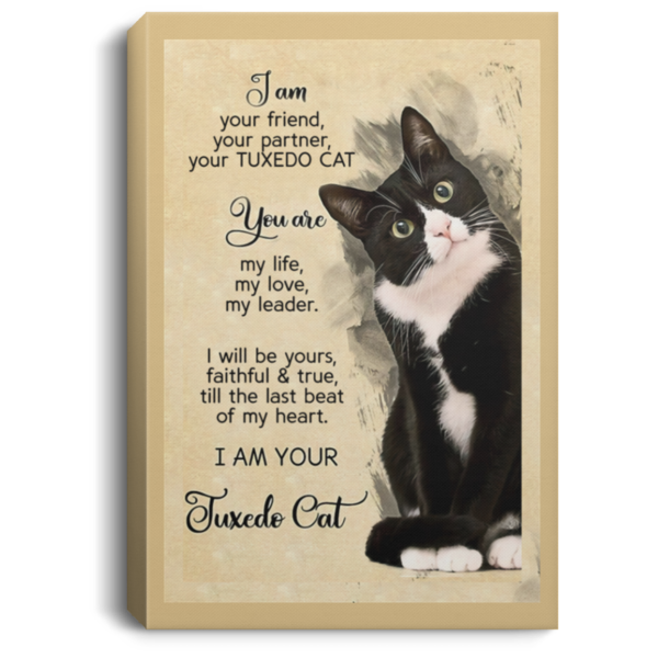 redirect 202 600x600 - I am your friend your partner your Tuxedo Cat poster