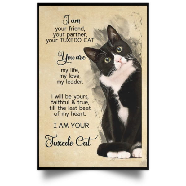 redirect 203 600x600 - I am your friend your partner your Tuxedo Cat poster