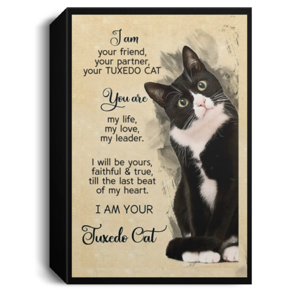 redirect 205 600x600 - I am your friend your partner your Tuxedo Cat poster