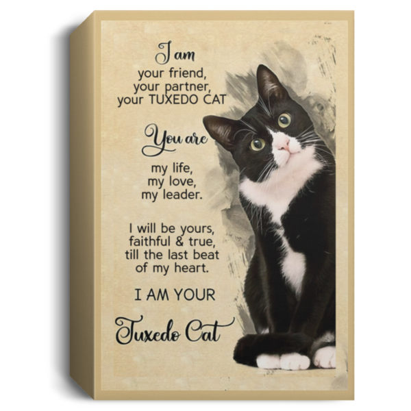 redirect 206 600x600 - I am your friend your partner your Tuxedo Cat poster