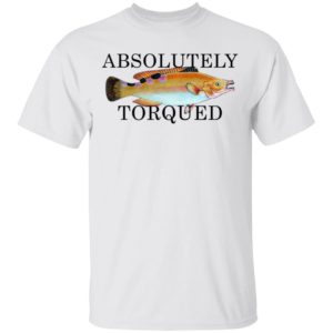 redirect 1803 300x300 - Absolutely Torqued shirt