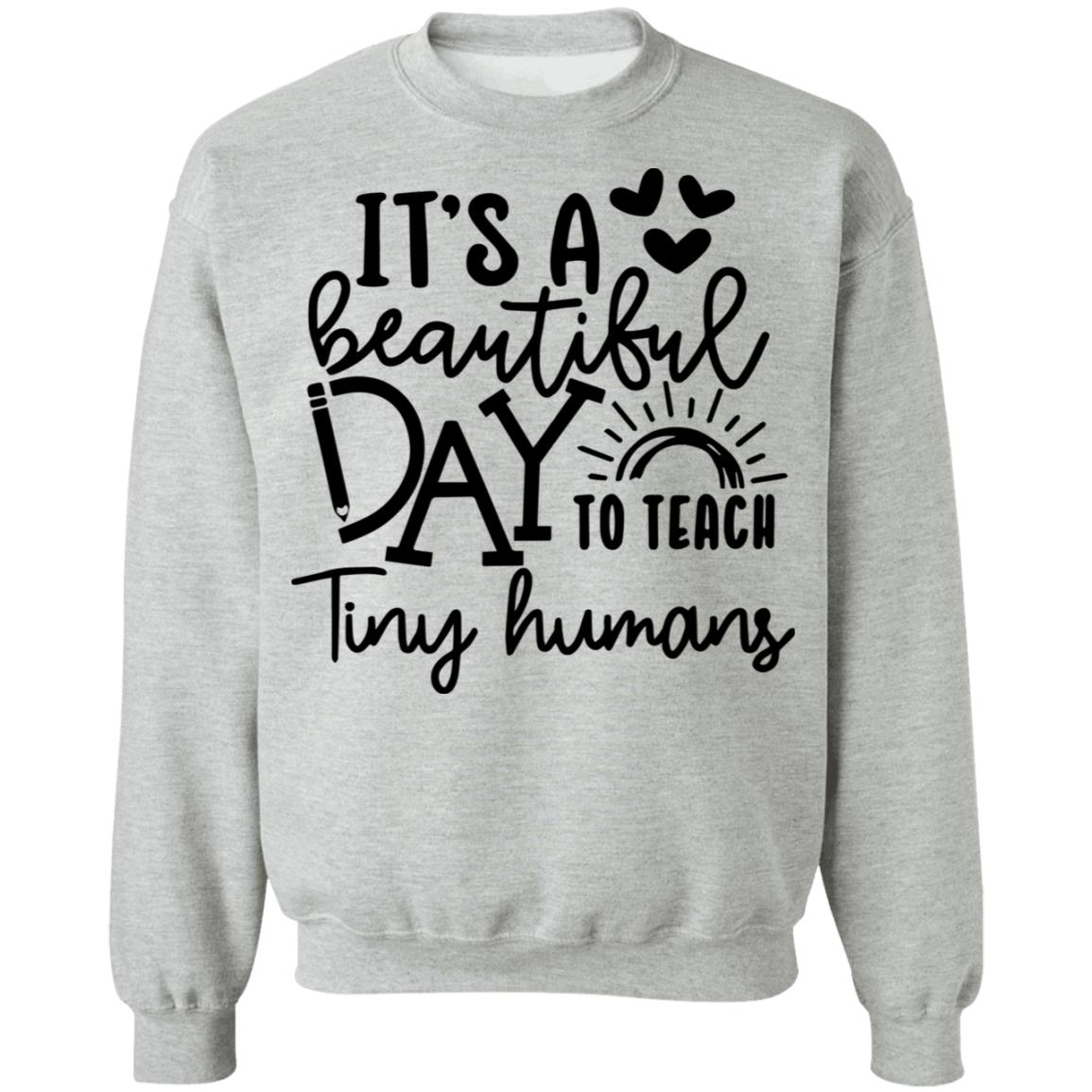 it's a good day to teach tiny humans shirt