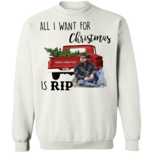 redirect11252020211153 10 300x300 - All I want for Christmas is Rip sweatshirt