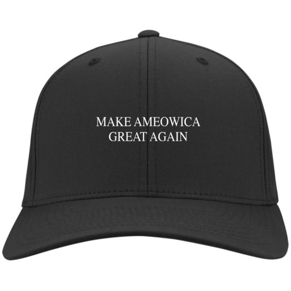 redirect03092021220310 2 600x600 - Make ameowica great again hat