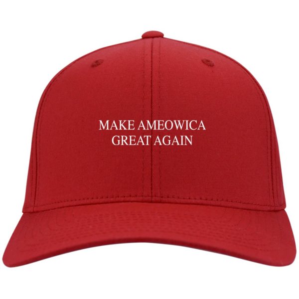 redirect03092021220310 4 600x600 - Make ameowica great again hat