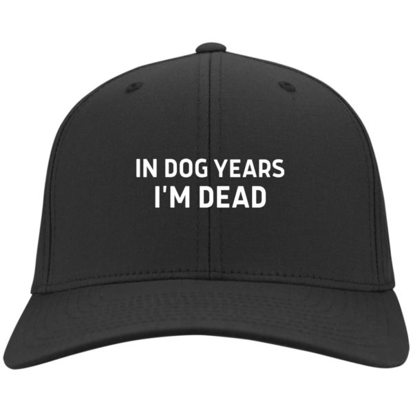 redirect03092021220325 2 600x600 - In dog years I'm dead hat