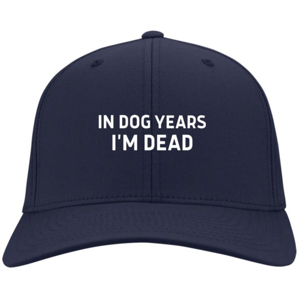 redirect03092021220325 3 600x600 - In dog years I'm dead hat