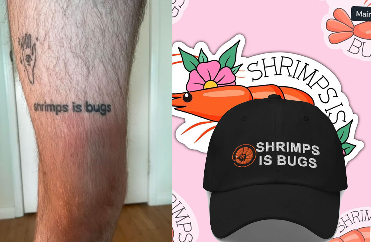 shrimps-is-bugs-meme-the-absurdity-virality-and-cultural-impact-of
